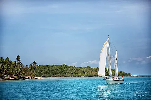  Half-day cruise (4h) | Verona