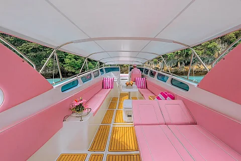  Speedboat Pink Dolphin | 41ft Custom Build | Charter Yacht in Krabi